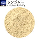 【公式】S&B セレクトスパイス ジンジャー パウダー 袋入り 500g 業務用 エスビー食品 公式 スパイス ハーブ SELECT SPICE 乾燥しょうが ショウガ 生姜 しょうが