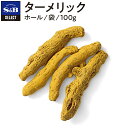 S&B セレクトスパイス ターメリック ホール 袋入り 100g 業務用 エスビー食品 公式 スパイス ハーブ SELECT SPICE Turmeric ウコン