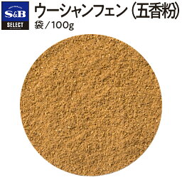 【公式】S&B セレクトスパイス ウーシャンフェン（五香粉） 袋入り 100g 業務用 エスビー食品 公式