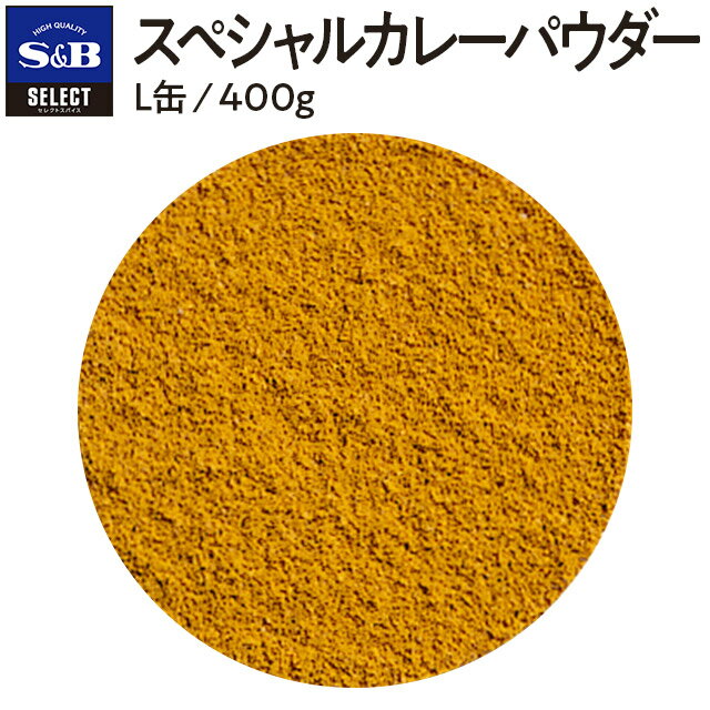 S&B スペシャルカレーパウダー 400g セレクトスパイス パウダー L缶 業務用 エスビー食品 公式 スパイス ハーブ SELECT SPICE カレー粉 カレー カレーパウダー 調味料 エスビー 食品