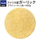 【公式】S&B セレクトスパイス アメリカ産ガーリック グラニュール L缶 400g 業務用 エスビー食品 SB 産地指定 スパイス ハーブ にんにく ニンニク 大蒜 スパイスハーブ 洋風スパイス 調味料 香辛料