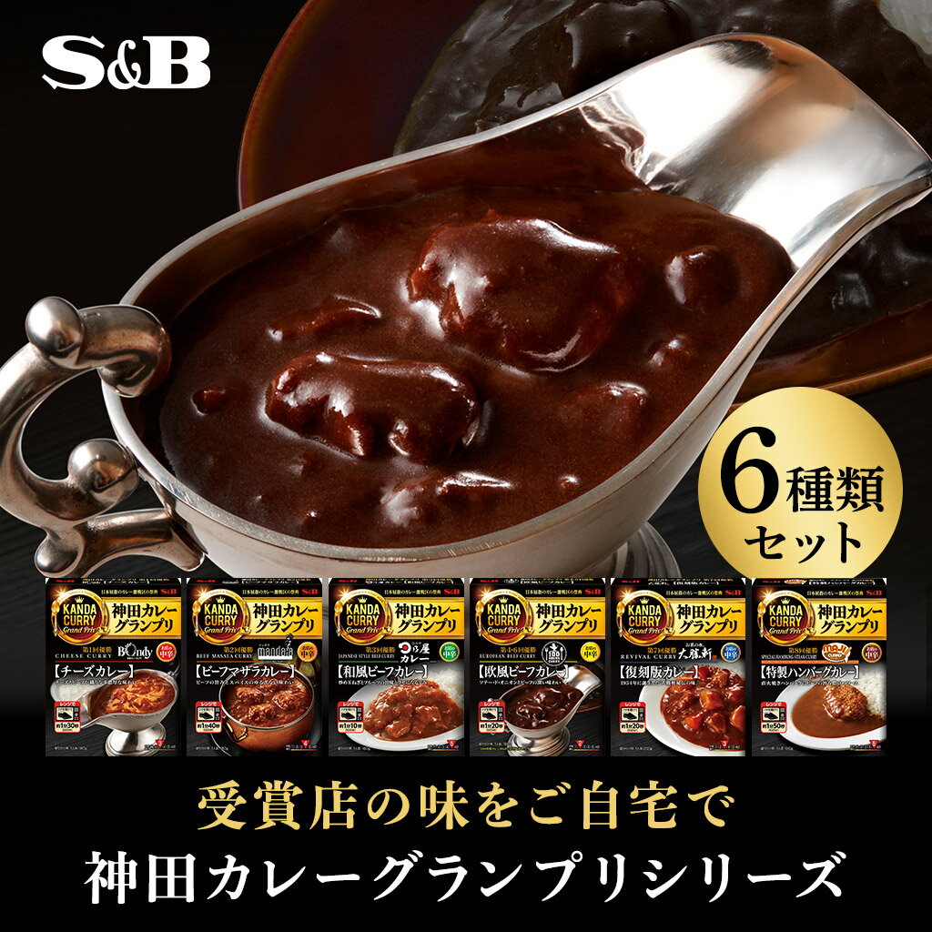 【公式】S&B レトルトカレー 神田カレーグランプリセット アソート レンジ対応 6種×1個 計6個 エスビー食品 SB カレー レトルト 詰め合わせ セット ビーフカレー 名店 まとめ買い ギフト