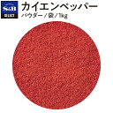 ■カイエンペッパー/パウダー/袋1kg【select/セレクト/業務用/お買い得/お徳用/香辛料/調味料/スパイス/赤唐辛子/鷹の爪/チリペッパー/レッドペッパー/トウガラシ/S&B/SB食品/エスビー食品/楽天/通販】【05P09Jul16】