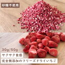 【砂糖不使用】ドライフルーツ いちご 苺 ダイスカット50g ホール30g ホール 6mm サクサク食感 大容量 製菓 フリーズドライ 乾燥 お菓子 グラノーラ...