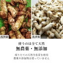 松茸 生松茸 冷凍 1000g 1kg 26-35本程度 5-7cmサイズ ホール 洗浄済み そのまま使える 松茸ご飯やお吸い物にも 茶碗蒸しや土瓶蒸しにも最適 高級料亭 マツタケ まつたけ 秋の味覚 無農薬 無添加 中国産 3