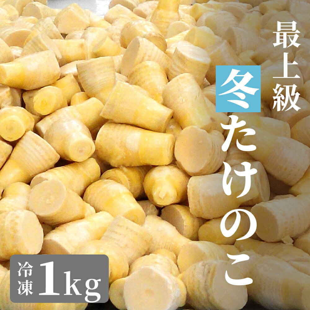 【高級冬たけのこ】筍 冬筍 たけのこ 冷凍 1000g 1kg 2kg 3kg ボイル 竹の子 早掘りたけのこ 高級料亭 たけのこご飯に最適 そのまま使える 高級 皮剥き済み 煮物や天ぷらにも 中国産