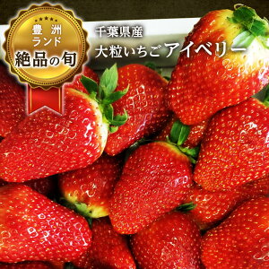 【千葉いちご】千葉県産の甘くて美味しい苺のおすすめは？