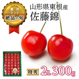 [送料無料] 山形県産 佐藤錦2L [熨斗対応可] サクランボ さくらんぼ チェリー 旬 贈り物 ギフト 家庭用 豊洲 お取り寄せグルメ 母の日