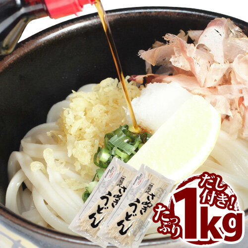 【メール便送料無料】熟成さぬきうどん 1kg(500g×2)【10人前】【だし付き】【半生】1000円 ポッキリ