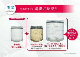 西川リビングゴアテックスロイヤルスターデュオ羽毛肌掛け300gイギリス産ダックダウンシングル日本製1342-71261