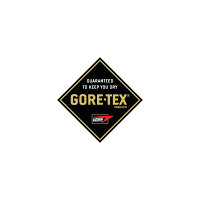 西川リビングゴアテックスロイヤルスターデュオ羽毛肌掛け300gイギリス産ダックダウンシングル日本製1342-71261