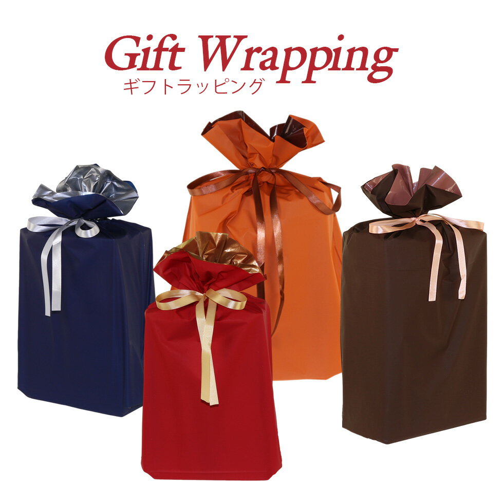 【同色2袋セット】リボン付き ラッピング袋 巾着袋 包装 底マチ ラッピング用品 贈り物キット ギフト PE袋 ポリエチレン プレゼント お祝い イベント バー...