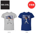 【日本未発売 】大谷翔平 ドジャース 野球 子供用 Tシャツ 半袖 キッズ メジャーリーガー カジュアル スポカジ 普段着 スポーツウェア トレーニングウェア ...