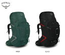 Osprey オスプレー Aether Plus 70 エーテル・プラス85 バックパック リュック アウトドア 登山 ハイキングトレッキング キャンプ(4)