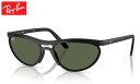 レイバン Rayban PREDATOR LITEFORCE sunglass サングラス(4)
