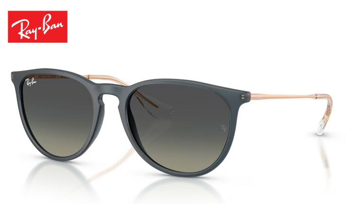 樂天商城 - レイバン Rayban ERIKA CLASSIC エリカクラシック sunglass サングラス