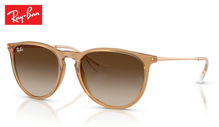 レイバン Rayban ERIKA CLASSIC エリカクラシック sunglass サングラス