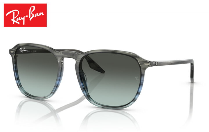 乐天商城 - レイバン Rayban RB2203 sunglass サングラス
