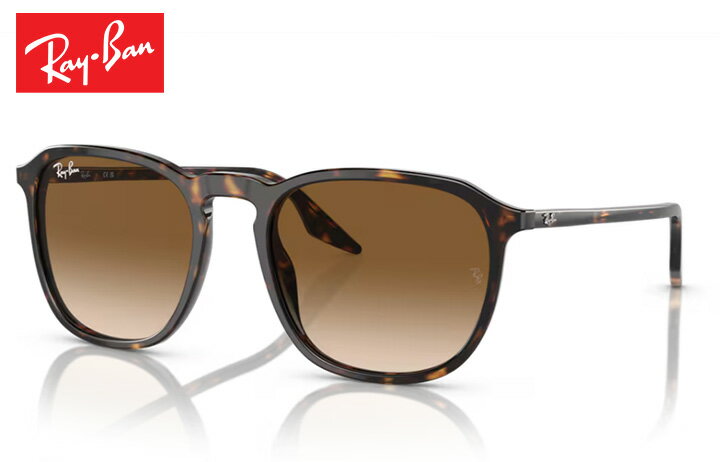 樂天商城 - レイバン Rayban RB2203 sunglass サングラス