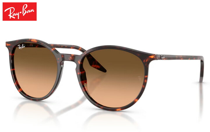樂天商城 - レイバン Rayban RB2204 sunglass サングラス