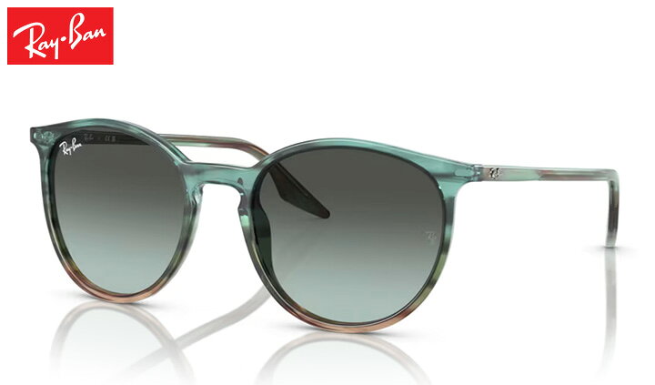 樂天商城 - レイバン Rayban RB2204 sunglass サングラス