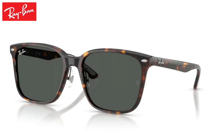 樂天商城 - レイバン Rayban RB2206D sunglass サングラス