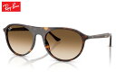 レイバン Rayban RB2215 sunglass サングラス(4)