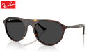レイバン Rayban RB2215 sunglass サングラス(4)