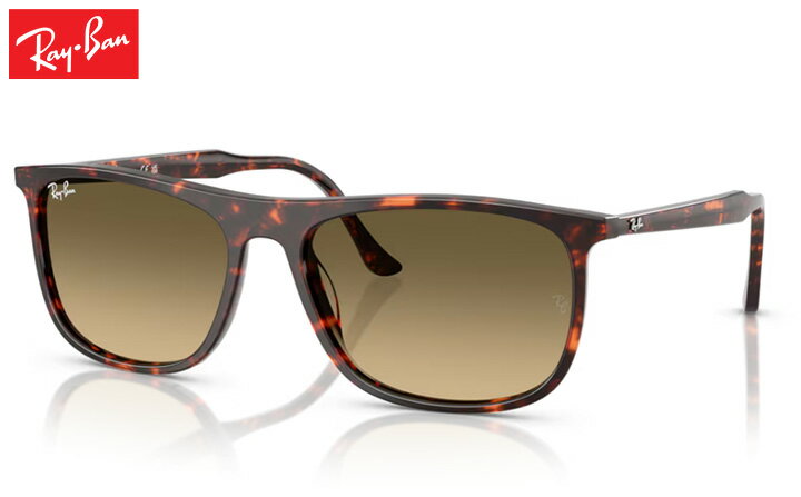 樂天商城 - レイバン Rayban RB2216 sunglass サングラス