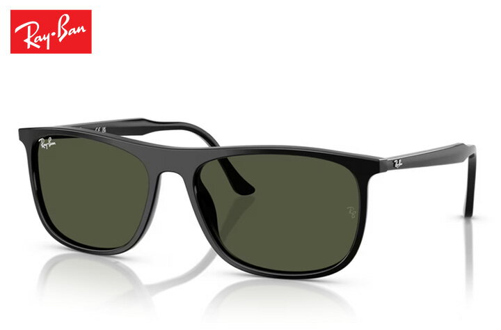 レイバン Rayban RB2216 sunglass サングラス