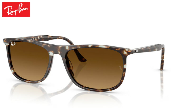 レイバン Rayban RB2216 sunglass サングラス