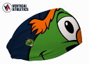 アメリカ発 【ネコポス送料無料】 バーティカルアスリート Vertical athletics ヘッドバンド Cooling Headband Red Sox ...