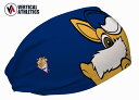 アメリカ発 【ネコポス送料無料】 バーティカルアスリート Vertical athletics ヘッドバンド Cooling Headband テキサス・レンジ...