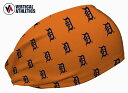 アメリカ発 【ネコポス送料無料】 バーティカルアスリート Vertical athletics ヘッドバンド Cooling Headband デトロイト・タイ...