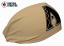 アメリカ発 【ネコポス送料無料】 ヘッドバンド Vertical athletics バーティカルアスリート Arizona Diamondbacks アリゾナ...