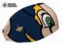 アメリカ発 【ネコポス送料無料】 バーティカルアスリート Vertical athletics ヘッドバンド Cooling Headband Milwauke...