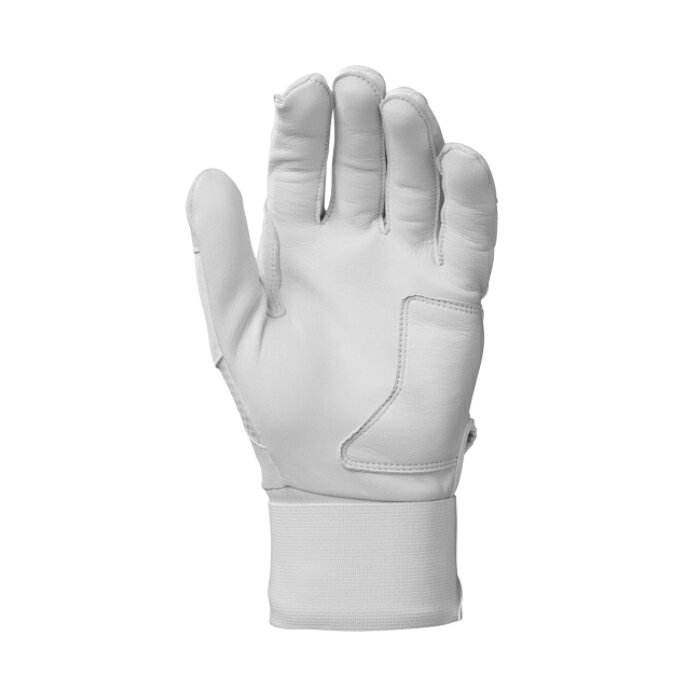 ������̵���ۡ�����̤ȯ���Evoshield ���ܥ������ ��� �Хåƥ��� ���� �������� ξ���� CARBYNE BATTING GLOVE �Хå� �Ƿ���