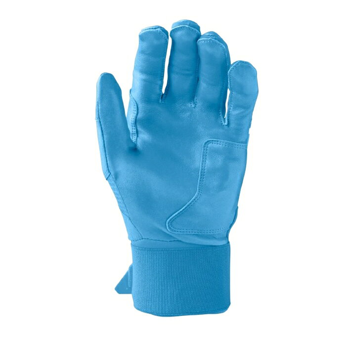 ������̵���ۡ�����̤ȯ���Evoshield ���ܥ������ ��� �Хåƥ��� ���� �������� ξ���� CARBYNE BATTING GLOVE �Хå� �Ƿ���