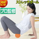 ストレッチ ボール 小さい ミニ 【クーポン最終日】 《レビュープレゼント》 ほぐし ストレッチボール 小 ツボ押し フィットネスボール トレーニング ダイエッ...