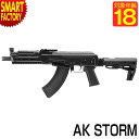 東京マルイ アサルトライフル  AKストーム 対象年齢18才以上 AK STORM シュート リコイルエンジン ボルトリリース サバゲー サバイバルゲーム ホップアップシステム 送料無料 ☆ プレゼント ギフト 新生活 母の日