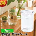 【2日限定全品P3倍～】 花瓶 鉢 ガラス鉢 【動画あり】 ガラスベース BULB VASE 7cm 水栽培 クリア フラワーベース 水耕栽培 球根栽培 植物 栽培 水 花 生け花 切り花 多肉植物 ガーデニング 誕生日 プレゼント ギフト 送料無料 ☆ プレゼント ギフト 新生活 母の日