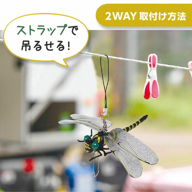 ��25������!����P6�ܡ��� ����� ���˥��� ���å� �٥ӡ� ���֤����OK!�� �ȥ�� ���Ф����Τ���� �����ȥɥ� �С��٥��塼 ������ �л� ��褱 ���� ���ȥ�å� ��� �����ǥ˥� ������ �ɺҥ��å� �� �ץ쥼��� ���ե� ´�� ´�� ���� ���� ������ �ɺ�