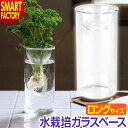 【P6倍最終日】 鉢 ガラス鉢 花瓶 水栽培 ガラスベース クリア ロングサイズ 植物 栽培 水 球根 フラワー 花 生け花 切り花 野菜 観葉植物 卓上 誕生...