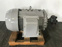 東芝産業機器システム モーター TIKK-FCKAW21 400V 15kW 2POLE
