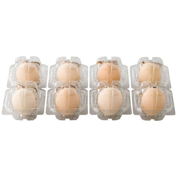 北坂たまご たまごまるごとプリン (KP-R8)