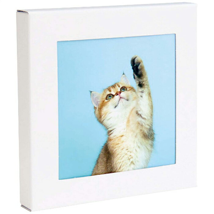 壁に飾る防災トイレ処理セット(5回分) アートトワレ ねこ (ATW-5 003[ねこ])