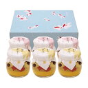 京都 養老軒 ゆらり金魚の涼風ゼリー (YJ-YR)(4)