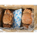 網走水産 北海道産 毛がに2尾セット (APID-027)