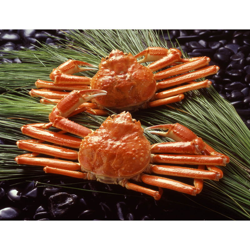 厳しい大自然に囲まれたカナダが贈る本場の味。ボイル後、急速冷凍し旨みと鮮度をとじ込めました。プリプリの身と甘いカニみそをお楽しみください。■商品名:ボイルずわいがに姿 2杯セット■商品説明:ボイルずわいがに姿450g×2■箱サイズ:28×39×10cm・1100g■型番:6799-100■JANコード:4548878067993■製造生産地:カナダ■賞味期限:冷凍60日■アレルゲン7品目:かに■重さ:1100g商品特徴一覧2026年 産直ギフト、【産地直送・お取り寄せグルメ → フード → 海産物】、apide、アピデ、[2025stb]、2026年、令和8年、春夏、御中元、お中元、暑中見舞い、暑中お見舞い、暑中御見舞い、残暑見舞い、残暑お見舞い、残暑御見舞い、お歳暮、御歳暮、お年賀、御年賀、ギフト、内祝い、プレゼント、お返し、お祝い、ギフト、贈り物、のし、ラッピング、4548878067993、通信販売、通販、販売、買う、購入、お店、売っている、ショッピング2026年 産直ギフト【ボイルずわいがに姿 2杯セット (6799-100)】広告文責(有)イースクエアTEL:0120-532-772厳しい大自然に囲まれたカナダが贈る本場の味。ボイル後、急速冷凍し旨みと鮮度をとじ込めました。プリプリの身と甘いカニみそをお楽しみください。■商品名:ボイルずわいがに姿 2杯セット■商品説明:ボイルずわいがに姿450g×2■箱サイズ:28×39×10cm・1100g■型番:6799-100■JANコード:4548878067993■製造生産地:カナダ■賞味期限:冷凍60日■アレルゲン7品目:かに■重さ:1100g※お客さま都合による、ご注文後の[キャンセル][変更][返品][交換]はお受けできませんのでご注意下さいませ。※当店では、すべての商品で在庫を持っておりません。記載の納期を必ずご確認ください。※ご注文いただいた場合でもメーカーの[在庫切れ][欠品][廃盤]などの理由で、[記載の納期より発送が遅れる][発送できない]場合がございます。その際は、当店よりご連絡させていただきます。あらかじめご了承ください。※こちらの商品は【代金引換】でのご注文をお受けできません。※こちらの商品は【他商品との同梱】ができません。※こちらの商品はメーカー直送のため、【他商品との同梱】【代金引換でのご注文】はお受けできません。※こちらの商品はメーカー直送のため、北海道・沖縄・離島 への配送はお受けできません。※リニューアル等により パッケージ、仕様、セット内容 が変更になる場合がございます。予めご了承下さい。こちらの商品は【お取り寄せ(7〜10営業日以内に発送予定)】となります。あらかじめご了承くださいませ。