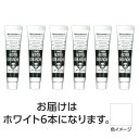 ターナー色彩株式会社 ターナー アクリルガッシュ 11ml 1ホワイト 6個 (108801)